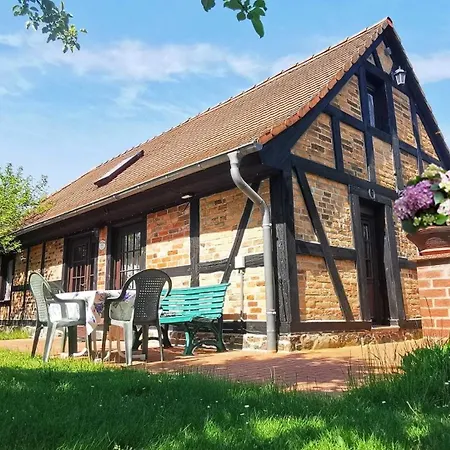 Spreewaelder Schwalbenhof - Ferienhaus 
