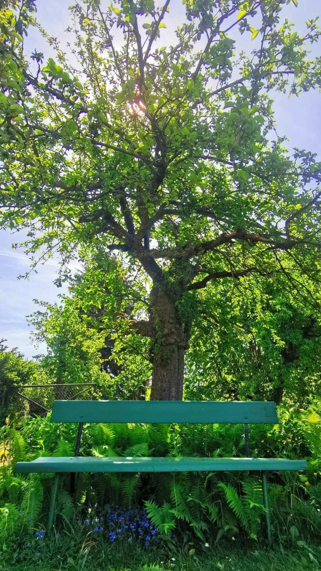 Spreewaelder Schwalbenhof - 