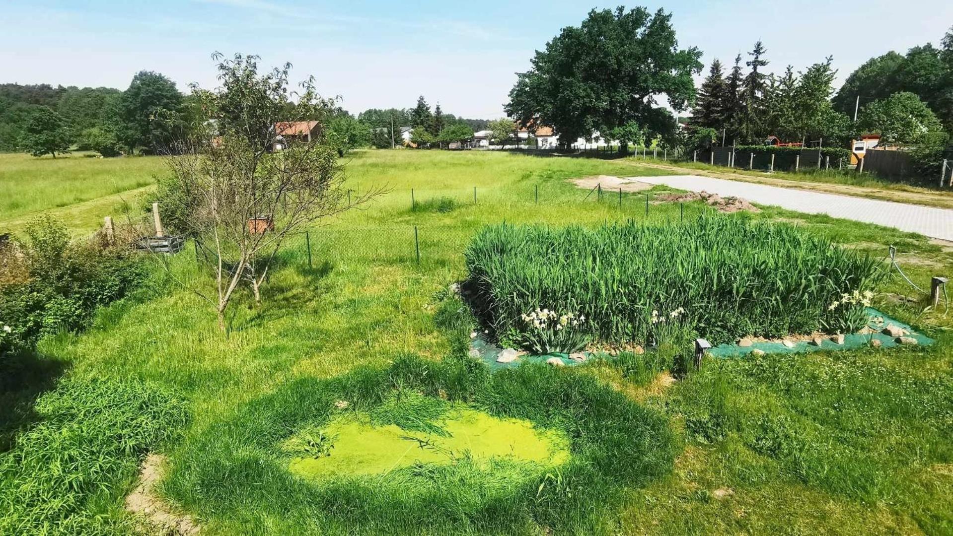 Spreewaelder Schwalbenhof - 